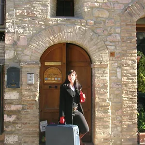 New Day 2* Assisi
